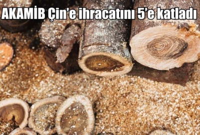 AKAMİB Çin’e ihracatını 5’e katladı