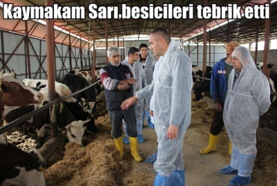 Kaymakam Sarı besicileri tebrik etti