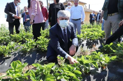 Vali Doğan Yayladağı’nda