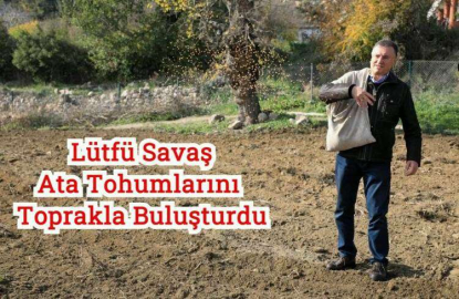 Lütfü Savaş Ata Tohumlarını Toprakla Buluşturdu 