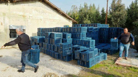 HBB’den Üreticiye Ücretsiz Zeytin Toplama Kasası